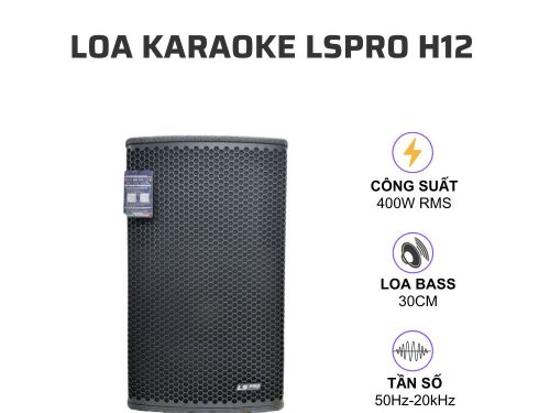 Loa karaoke LSPRO H12 (loa full, bass 30cm, 400W)